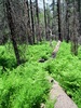 photo thumbnail #4