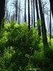 photo thumbnail #10