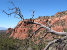 photo thumbnail #4