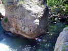 photo thumbnail #10