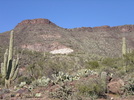 photo thumbnail #5