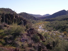 photo thumbnail #11