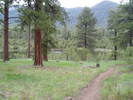 photo thumbnail #7