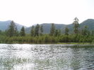 photo thumbnail #8