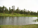 photo thumbnail #9