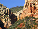 photo thumbnail #2