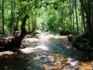 photo thumbnail #8