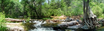 photo thumbnail #3