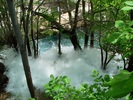 photo thumbnail #5