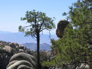 photo thumbnail #4