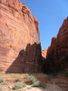 photo thumbnail #15