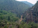 photo thumbnail #10