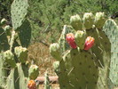 photo thumbnail #10