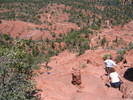 photo thumbnail #5