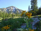 photo thumbnail #6