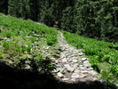 photo thumbnail #14