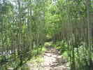 photo thumbnail #9