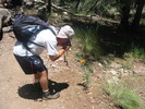 photo thumbnail #14