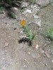photo thumbnail #15