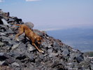 photo thumbnail #10