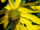 photo thumbnail #13