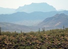 photo thumbnail #10