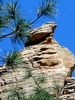 photo thumbnail #7