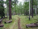 photo thumbnail #12