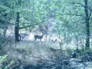 photo thumbnail #13