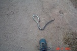 photo thumbnail #3