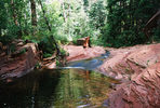 photo thumbnail #4
