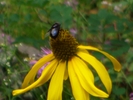 photo thumbnail #13