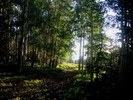 photo thumbnail #9