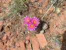 photo thumbnail #7