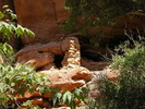 photo thumbnail #6