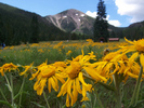 photo thumbnail #4