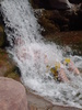 photo thumbnail #15
