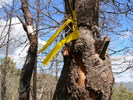 photo thumbnail #7