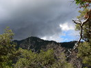 photo thumbnail #10