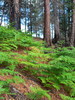 photo thumbnail #14