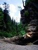 photo thumbnail #6