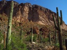 photo thumbnail #3