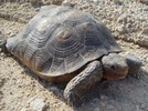 photo thumbnail #13