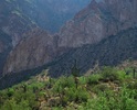 photo thumbnail #15