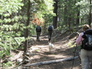 photo thumbnail #2
