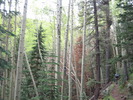 photo thumbnail #5