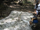 photo thumbnail #6
