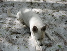 photo thumbnail #7