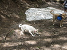 photo thumbnail #8