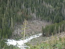 photo thumbnail #12
